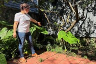A long-lost ancient Roman artifact reappears in a New Orleans backyard – Winnipeg Free Press