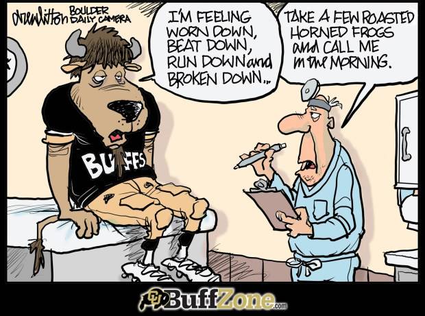 Buffzone Cartoon: Horned Toads