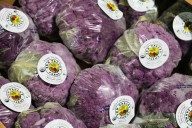 Good Taste: Help alleviate hunger at these local orgs and eateries