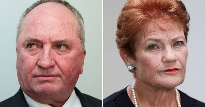 Barnaby Joyce reportedly in 'advance talks' to defect to Pauline Hanson's One Nation
