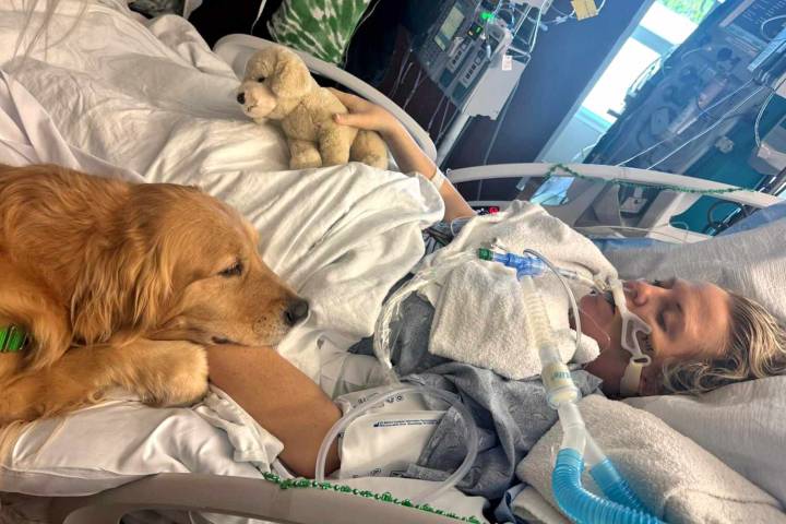 Therapy Dog Nuzzles Woman in Medically Induced Coma, Then Her Hand Moved