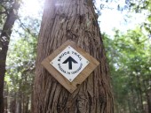Local clubs to celebrate Bruce Trail Day on Sunday