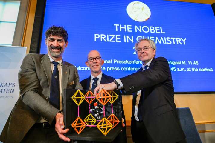 Molecular discovery that won Nobel Prize in chemistry is likened to ‘Harry Potter’ enchanted handbag