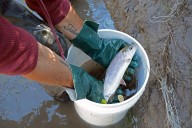 Report: Montana’s angling adds nearly $1 billion to economy