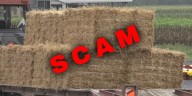 Door-to-door straw scam returns to Metter, police say