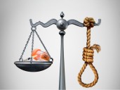 'Govt not ready to evolve':Supreme Court on Centre’s opposition to replace hanging with lethal injection execution method