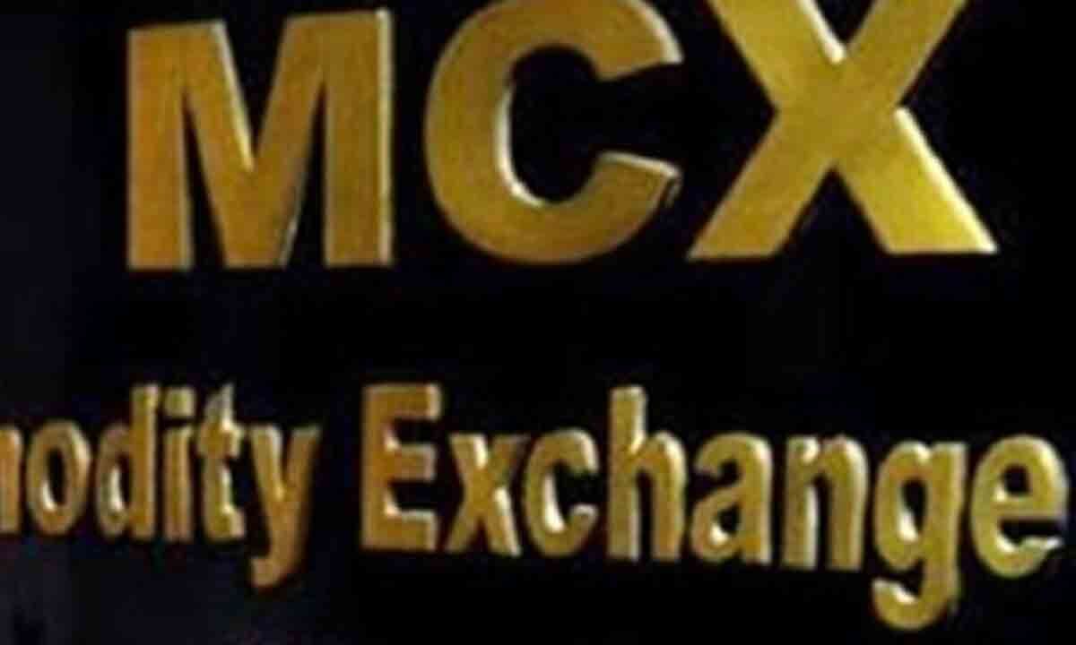 MCX trading halted for over four hours due to technical glitch, probe initiated