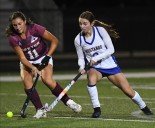 Marian’s playoff run halted by Dexter in regional final