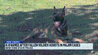 State Police K-9 honors fallen NY Guardsman