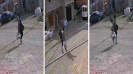 Robo de instrumentos en el barrio Máximo Abásolo