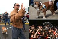 Lewis Hamilton mourns beloved dog ahead of Mexico's Day of the Dead