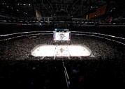 Fan falls from upper deck during Pittsburgh Penguins goal celebration vs. St. Louis Blues