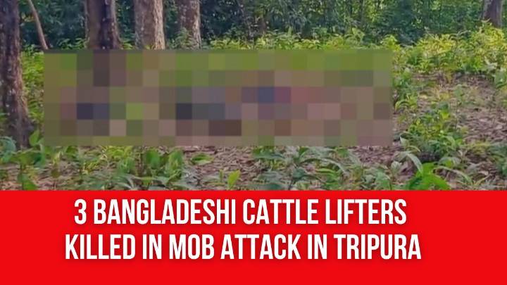3 Bangladeshi Cattle Lifters Killed in Mob Attack in Tripura
