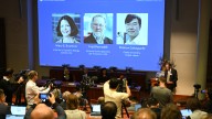 Los científicos Mary Brunkow, Fred Ramsdell y Shimon Sakaguchi ganan el Nobel de Medicina 2025