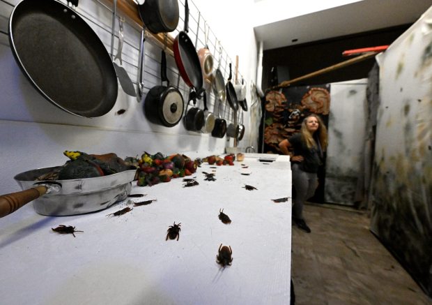 Loveland’s Find Your Fright Haunted House is back to scare until Halloween