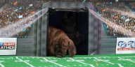 Puppy Picks: Week 10| Evans vs. Greenbrier