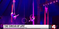 One more day left to experience the Circus of Life