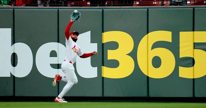 Gambling czar confident Missouri can limit illegal betting