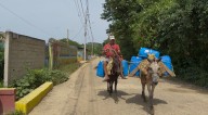 El Burro, un símbolo del pasado en Mompox