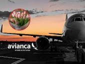 Avianca refuerza su liderazgo en transporte de flores y amplía su flota con imponente avión
