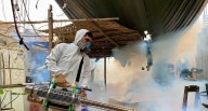La Libertad: Previenen posible brote de dengue en Ascope
