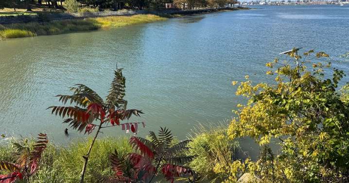 Woman, 30, walks into river clutching 5-month-old baby in harrowing mystery