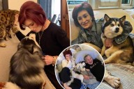 Sharon Osbourne's dog Elvis dies 3 months after Ozzy's death