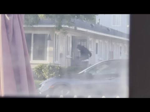 Burglary at Pacific Beach home caught on camera