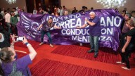 Una Legislatura con caras nuevas: 2 hermanas, 1 novia y 12 leones violetas