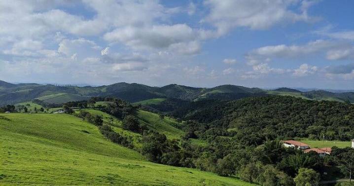 OSU scientists: some carbon credits might worsen climate