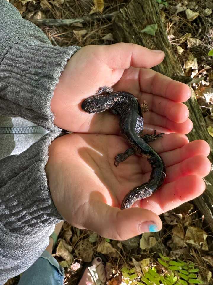 Large donation to help underprivileged children access to education