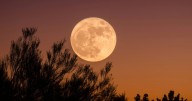 La Luna Llena de Noviembre 2025: El Resplandor del Castor y su Significado Astrológico