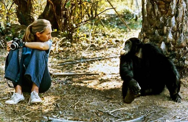 Jane Goodall Dies of Natural Causes on Speaking Tour in California