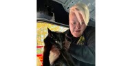 Rescue cats headed to Vermont shelter mixed up in Georgia car crash