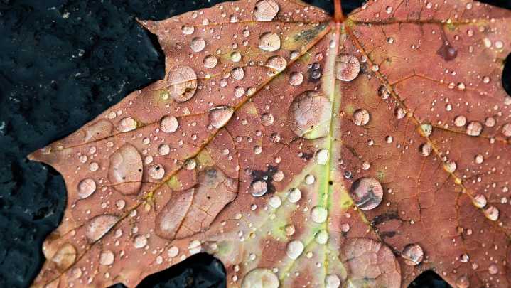 Emmet County's weather forecast for Tuesday