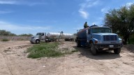 Trabajador Sufre Ataque de Abejas en Gómez Palacio; Recibe Cerca de 800 Picaduras