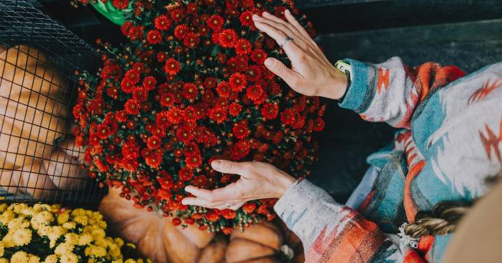 Why are some summer flowers still blooming this fall in Minnesota?