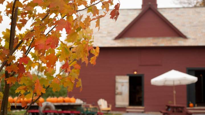Drought has muted this year's leaf-peeping season, but pockets of brilliant colors remain