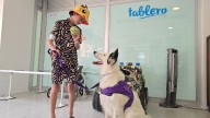 ¿Pueden los perros ayudar a pacientes sobrevivientes de quemaduras? 