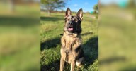 Boone County Sheriff's Office shares first day of school pics for new K