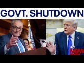 Trump slams Democrats for 'shutting down' government