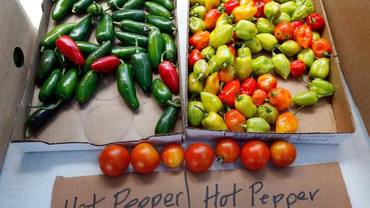 Government shutdown could halt RI SNAP benefits in November