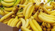 Los colegios de Valencia y Castellón incluyen plátano de Canarias en sus máquinas expendedoras