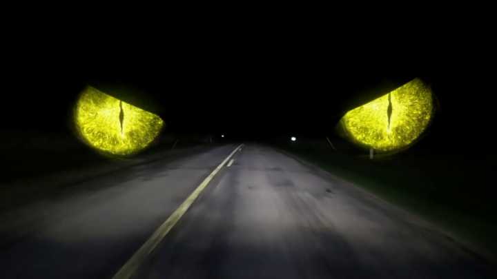 The Beast of Bray Road still haunts and intrigues Elkhorn residents