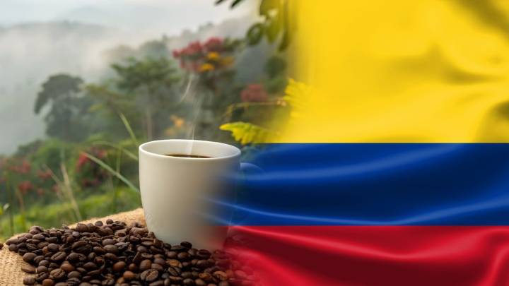 Colombia celebra un récord histórico en exportaciones de café en el último año: así fue el registro