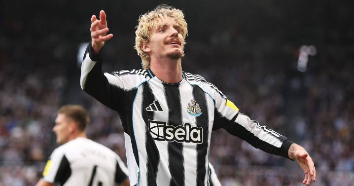 Nick Woltemade has filled Alexander Isak 'void' as Newcastle United move on