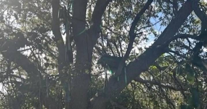 Secret Service agents find hunting stand near Donald Trump’s Air Force One in Palm Beach County 