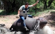 El triste final del granjero que crió a un hipopótamo como a su hijo, pero este lo atacó ferozmente hasta matarlo