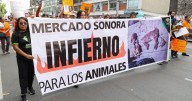Animalistas marchan al Zócalo para exigir cierre del Mercado de Sonora