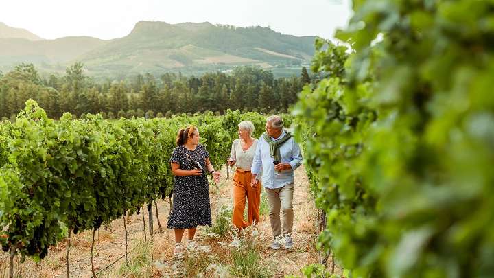 Minnesota vineyard blends Christian faith with traditional winemaking